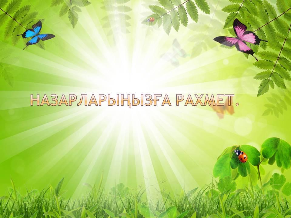 жазғы сауықтыру жұмысы